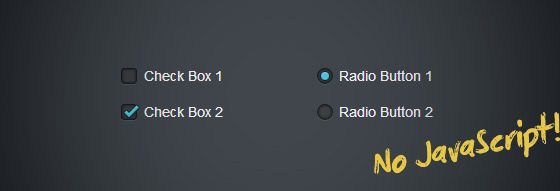 Гарні checkbox та radio кнопки на CSS3 без JavaScript