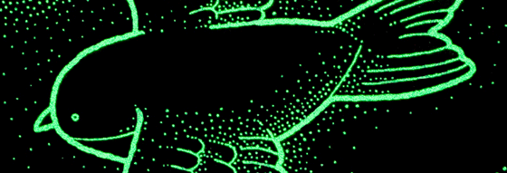 Фосфорний календар від Студії Юрка Гуцуляка